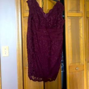 Tadashi Shoji burgundy embroidered lace dress